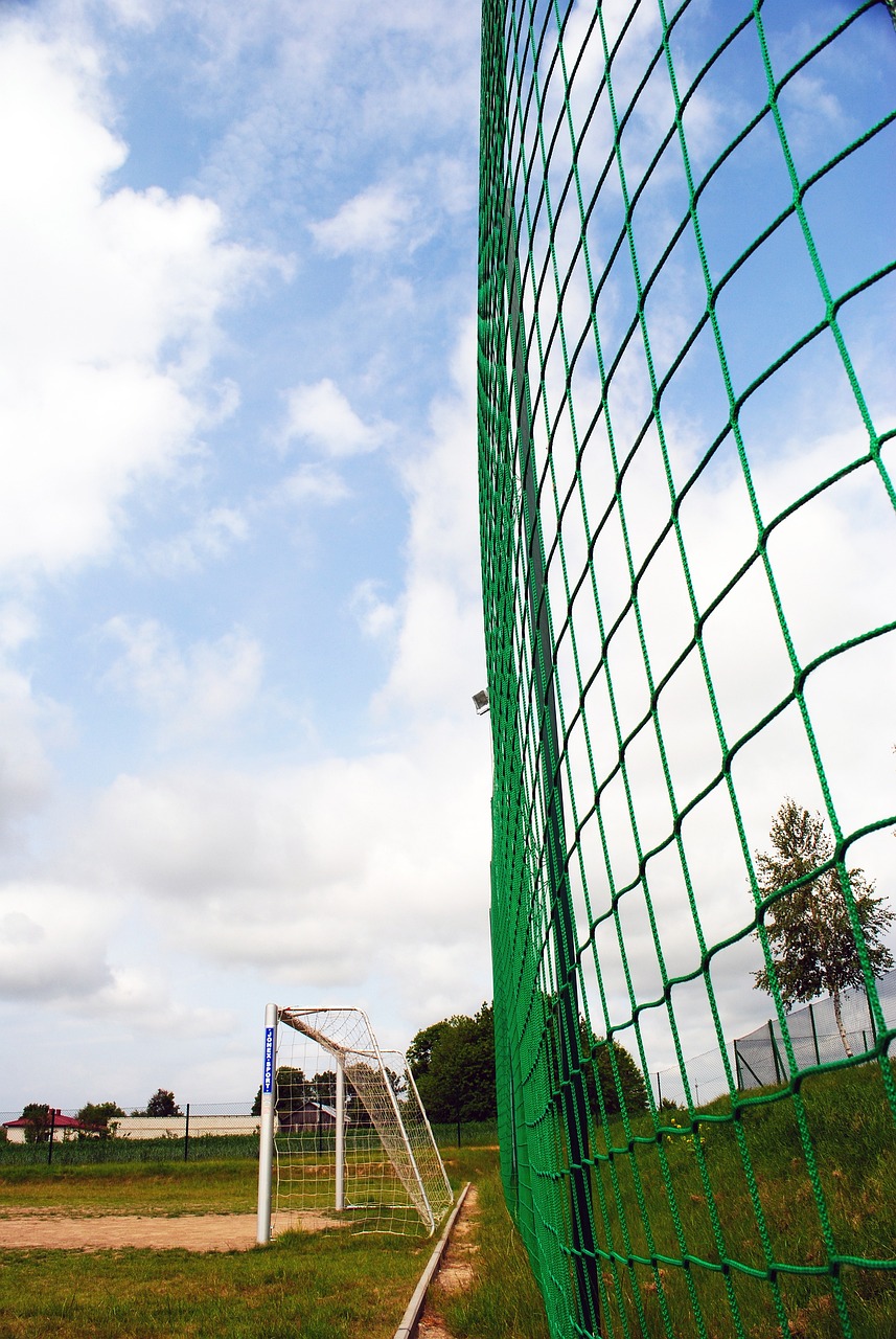 都凸显了俱 都凸显了俱