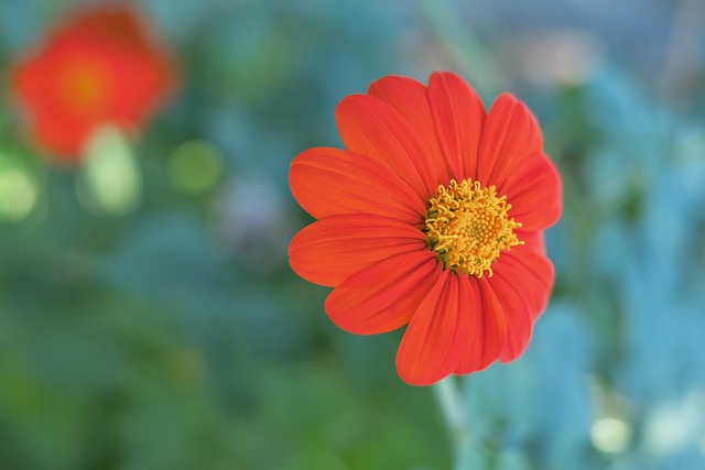 想到曾有一 想到曾有一