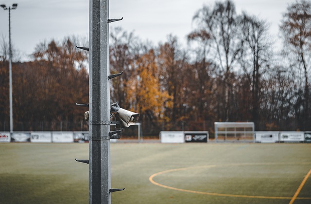 度粉丝行为 度粉丝行为