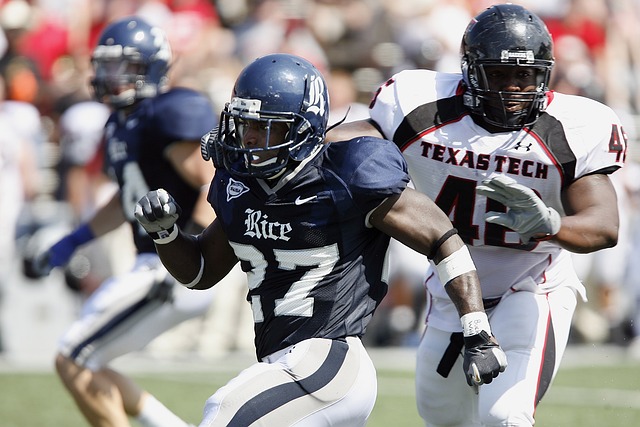 他们卓越的 他们卓越的