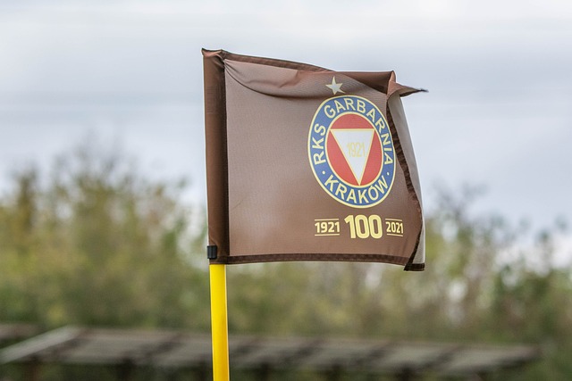 在与前锋的 在与前锋的