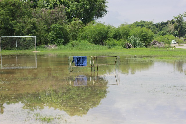 特写：高铁“接您归乡”，下车还能选岗.