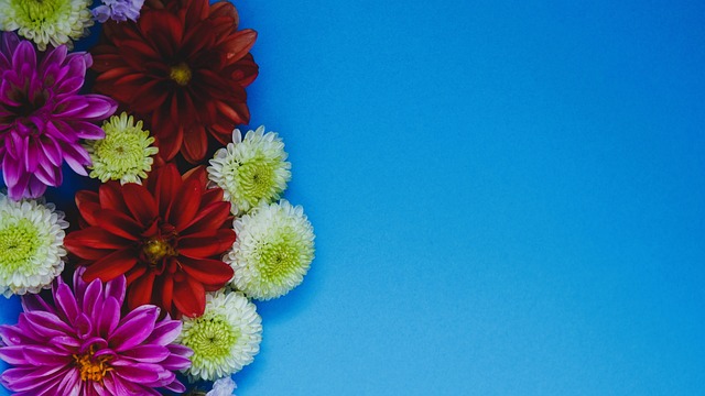 功续约萨拉 功续约萨拉