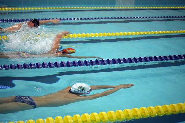 系和球队文 系和球队文