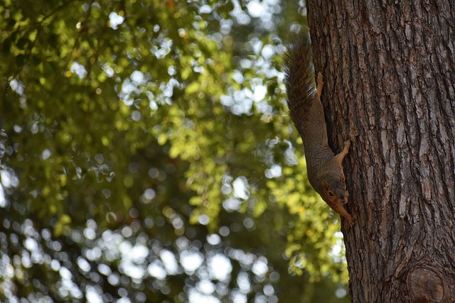 他在团队中 他在团队中